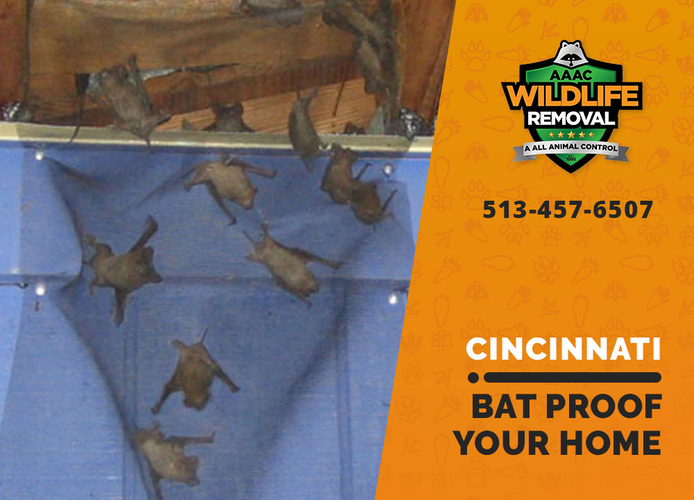 Get Rid of Bats: Find Entry Points & Seal Your Home!