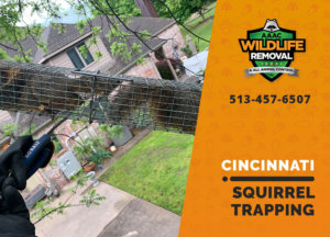 squirrel trapping program cincinnati