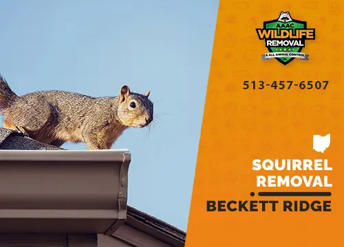 Squirrel on roof gutter, wildlife removal ad, phone number visible.