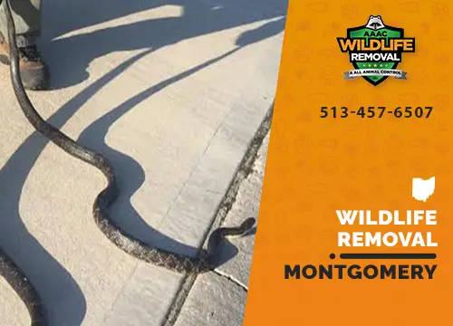 Montgomery Wildlife Removal professional removing pest animal